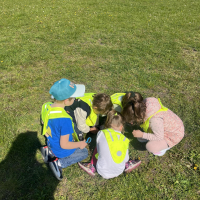 165-344570634_1490152014.jpg