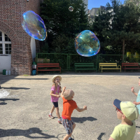 180-353817088_6185498969.jpg