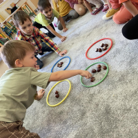 195-386468507_9029212245.jpg