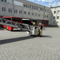 283-IMG_7242.JPEG.jpeg