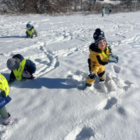 346-480712793_6196246976.jpg