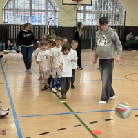 351-IMG_0774.JPEG.jpeg